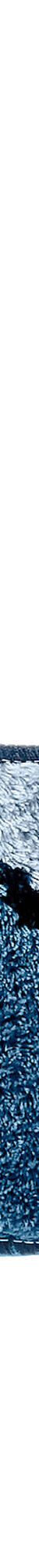 Tapis de bain motif végétal (bleu) Tapis de bain motif végétal (bleu)